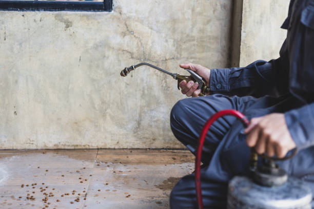 Best Pest Control for Homes  in Oreland, PA